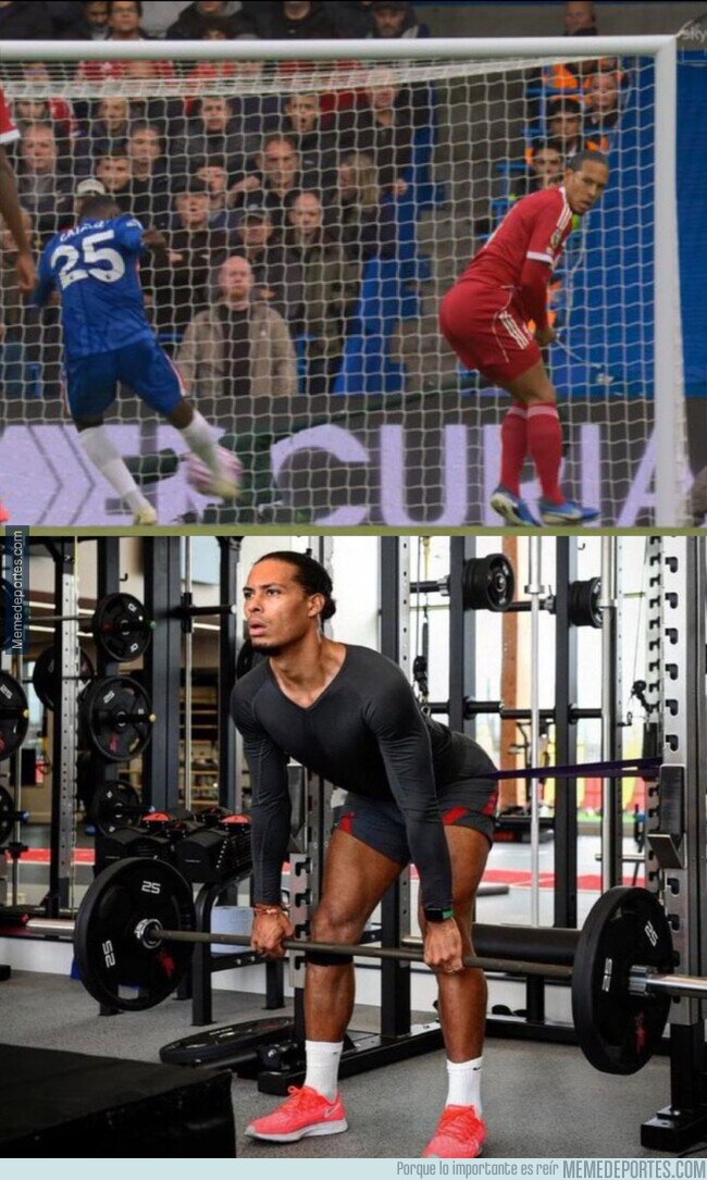 1231718 - Esa pose defensiva requiere un duro entrenamiento