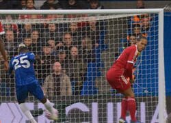 Enlace a Esa pose defensiva requiere un duro entrenamiento