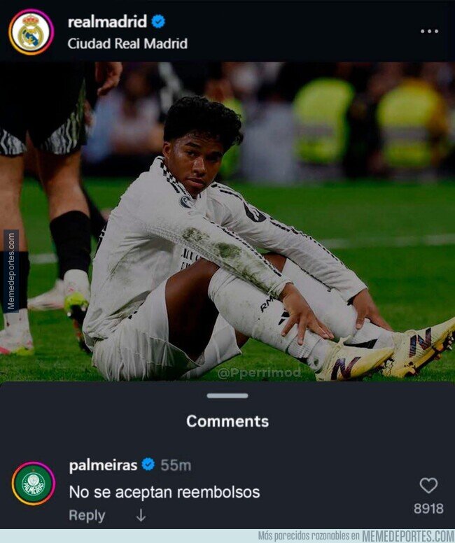 1231992 - La letra pequeña del Palmeiras