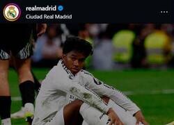 Enlace a La letra pequeña del Palmeiras