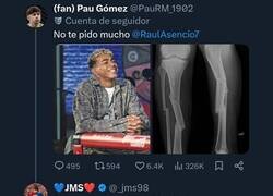 Enlace a Un fandom digno de estudio