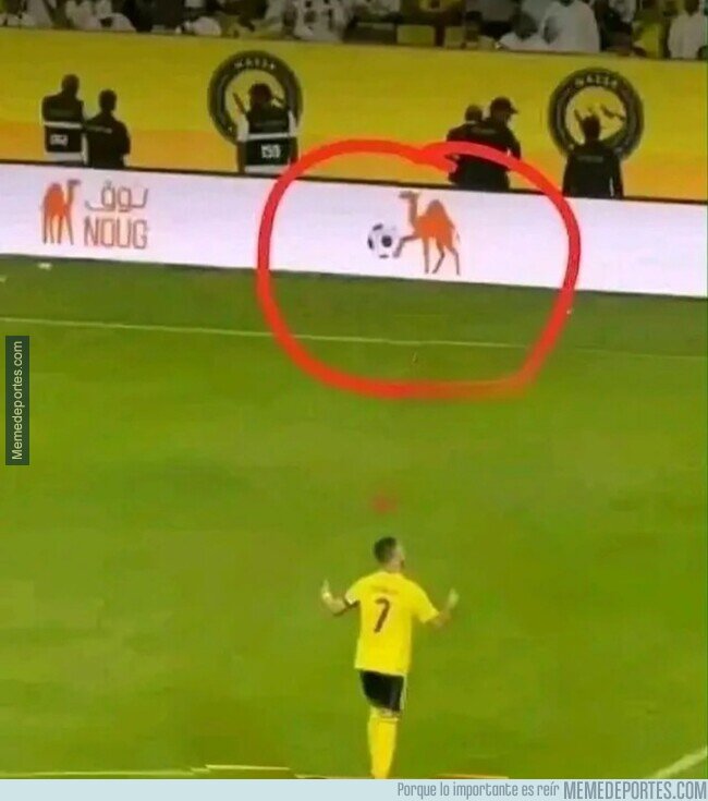 1232169 - Hasta los rótulos de publicidad vacilan al Bicho