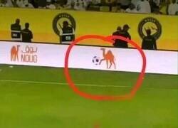 Enlace a Hasta los rótulos de publicidad vacilan al Bicho