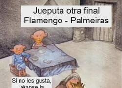 Enlace a Brasil se adueña por completo de la libertadores