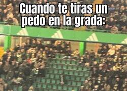 Enlace a Tenemos a un claro culpable