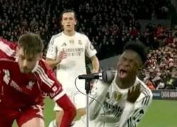 Enlace a Vinicius, el cantaor