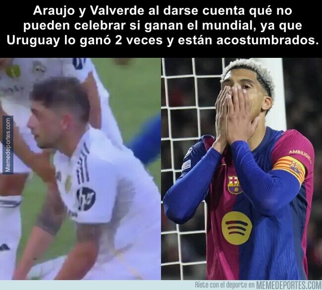 1232486 - Mientras más analizas esta lógica...