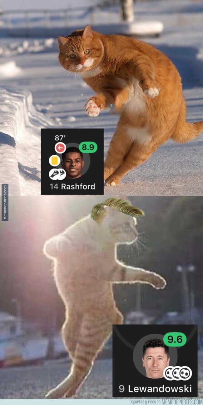 1232569 - Combinación letal