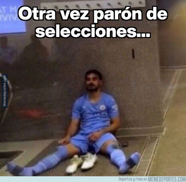 1232665 - Estoy desolado...