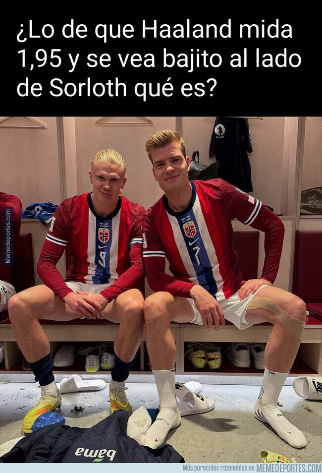 1232763 - Qué clase de animal es Sorloth