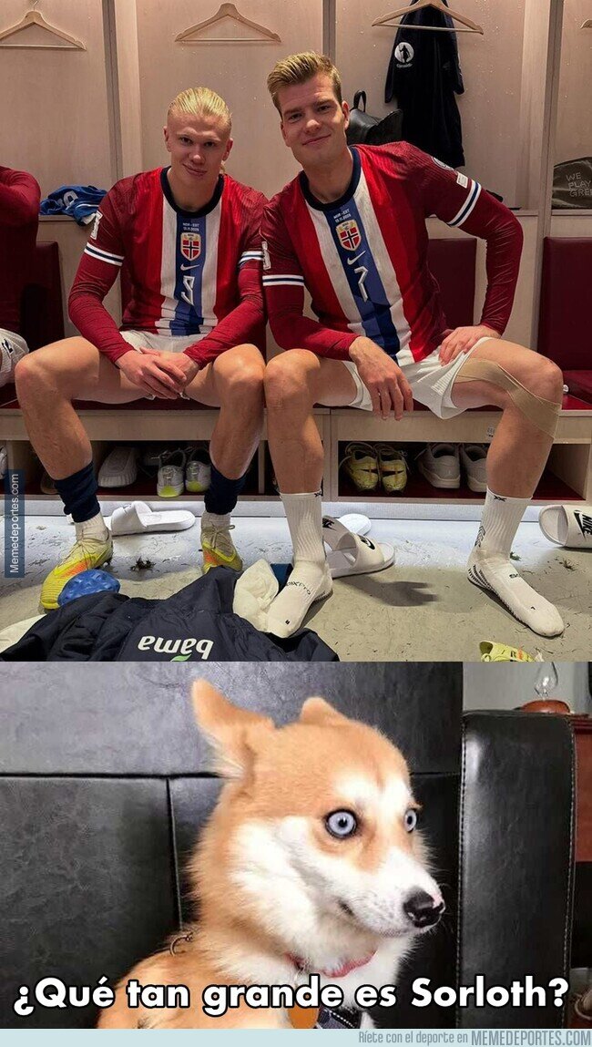 1232782 - Otro gigante Noruego