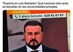 Enlace a Experto en Luis Rubiales
