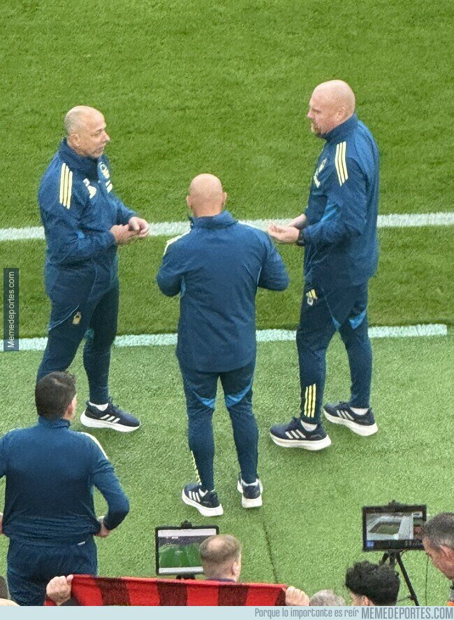 1233059 - Estarán discutiendo de shampoos...