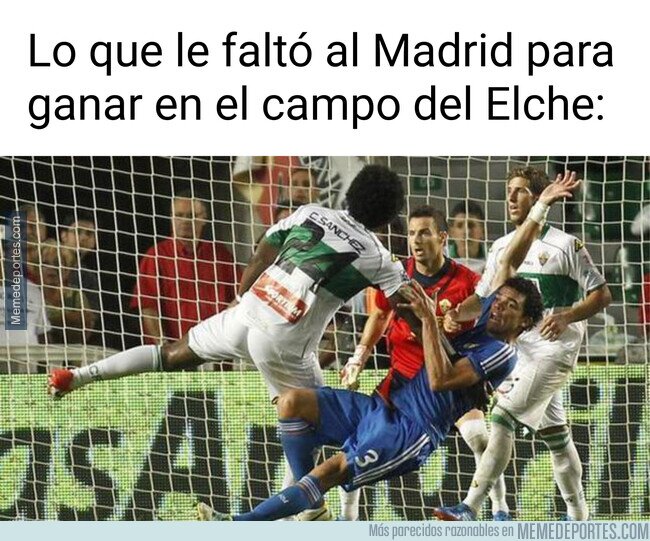 1233095 - La puntilla definitiva