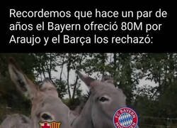 Enlace a A cada cuál más burro