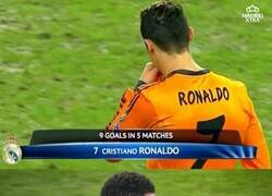 Enlace a Siguiendo sus pasos