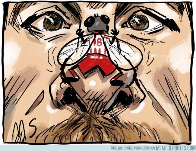 1233354 - La mosca coj*nera del Girona