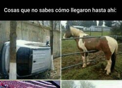 Enlace a ¿Qué hacía Puyol en la final de la Libertadores?