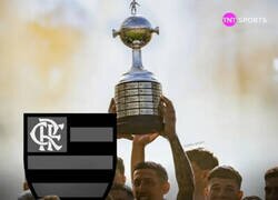 Enlace a Rosario, ya basta