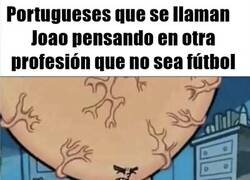 Enlace a El fenotipo portugués