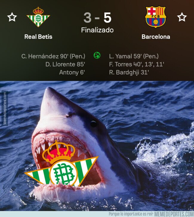 1233564 - Un tiburón se comió al Betis