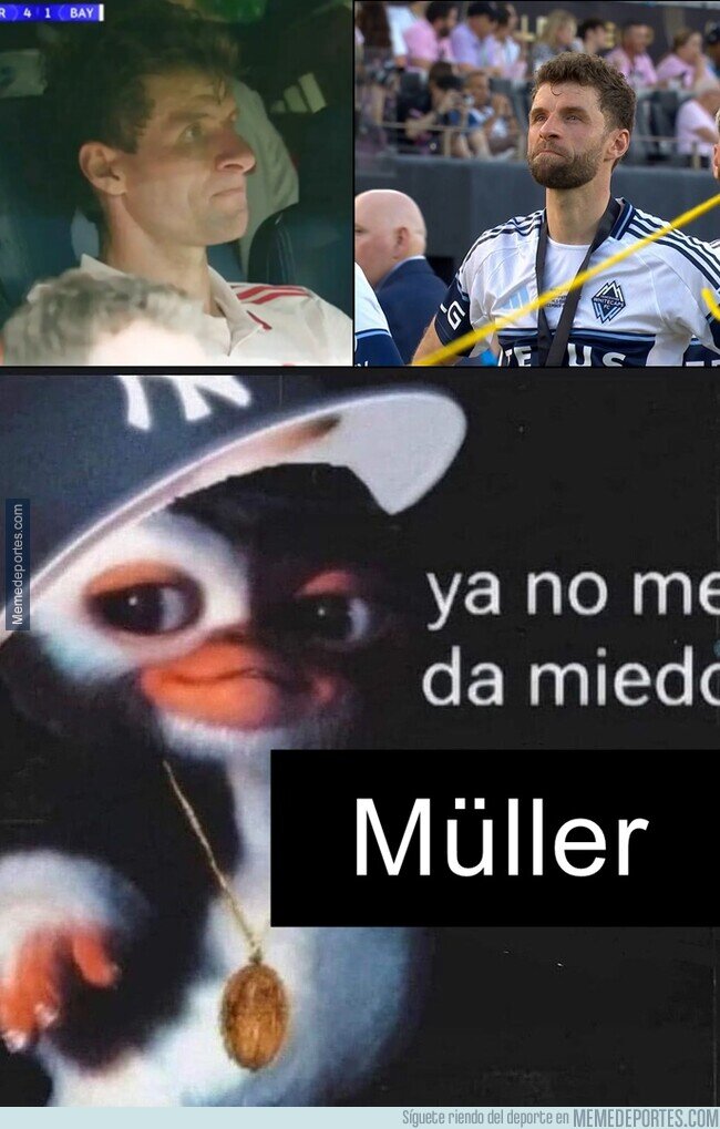 1233573 - La última espina