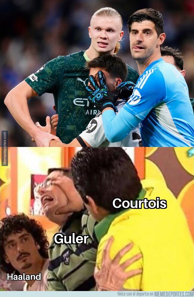 1233729 - Pobre Arda...