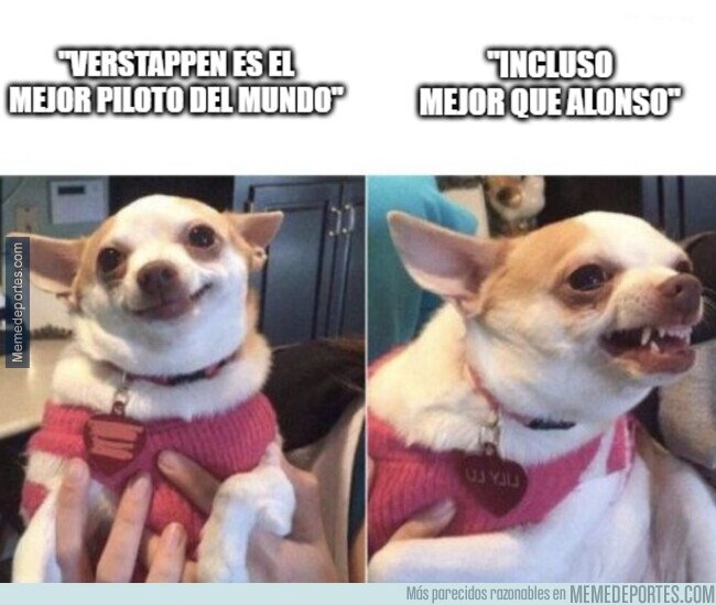 1233844 - Verstappen es el mejor... o no...