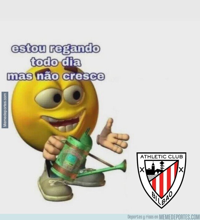 1233913 - ¿Por qué no crece?