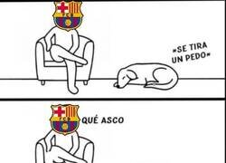 Enlace a El perro es más listo que su amo