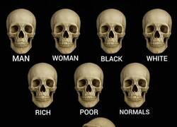 Enlace a Todos somos iguales excepto...