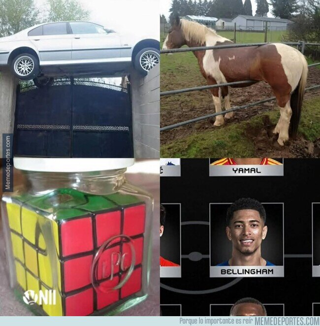 1234133 - Nadie sabe cómo llegaron ahí