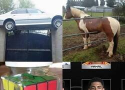 Enlace a Nadie sabe cómo llegaron ahí