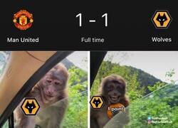 Enlace a El United le otorga un puntito al colista de la Premier