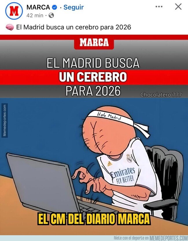 1234613 - En busca del cerebro