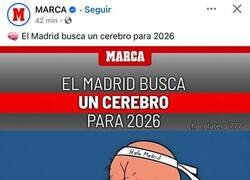 Enlace a En busca del cerebro