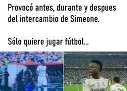 Enlace a Nueva exhibición de Vinicius