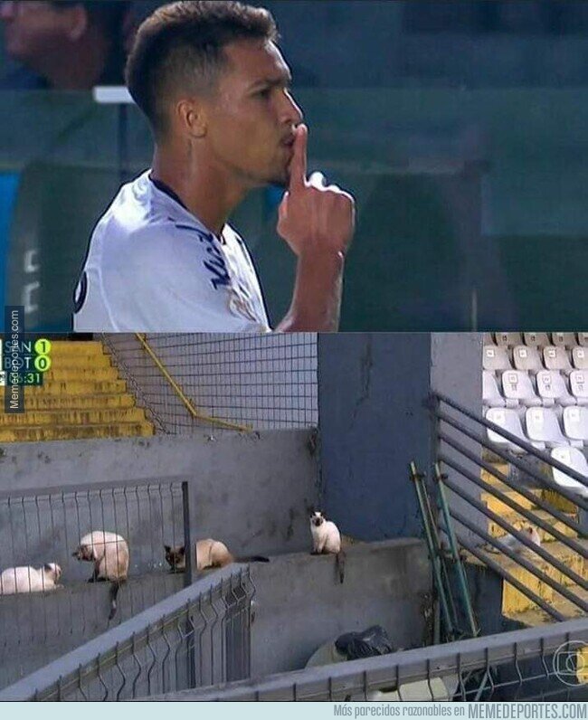 1234910 - Que viva el fútbol de Brasil