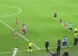 Enlace a Tranquilo, Arda. No te vio nadie