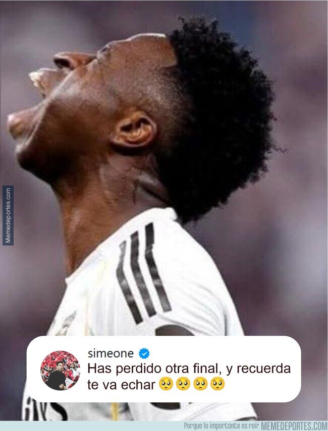 1234950 - Se le ha devuelto la tostada al Vini