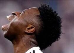 Enlace a Se le ha devuelto la tostada al Vini