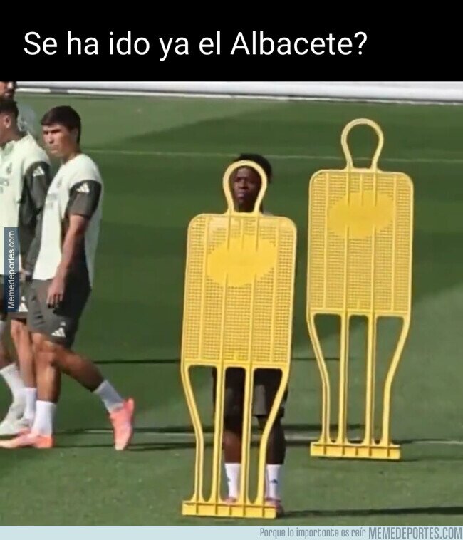 1235061 - Sí Vini, ya puedes salir