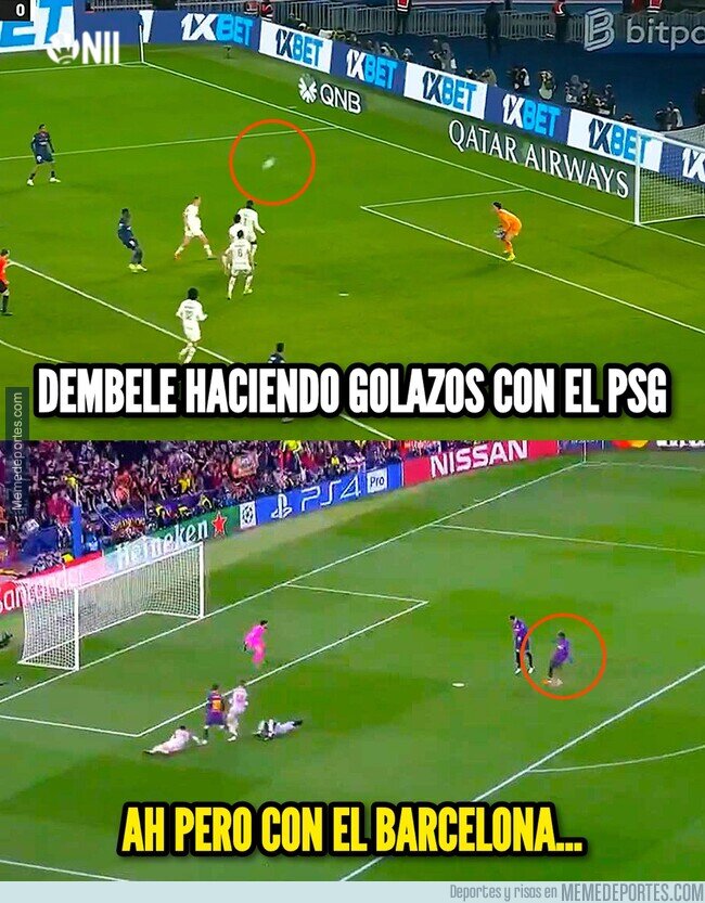 1235137 - El dembo ya creció