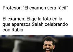 Enlace a Han ido a pillar