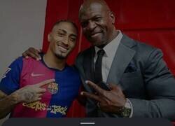 Enlace a Premio al comentario del año