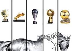 Enlace a El olimpo de los premios individuales