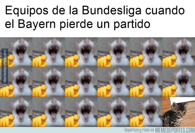 1235480 - Es el evento que encanta a todos