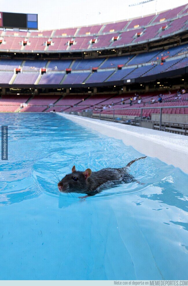 1235514 - Imágenes exclusivas del parque acuático Cam Ratou