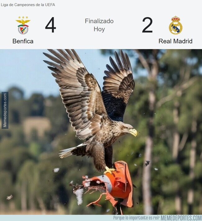 1235537 - Madre mia, qué ha pasado aquí...