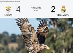 Enlace a Madre mia, qué ha pasado aquí...